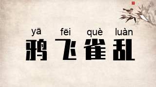 鸦飞雀乱