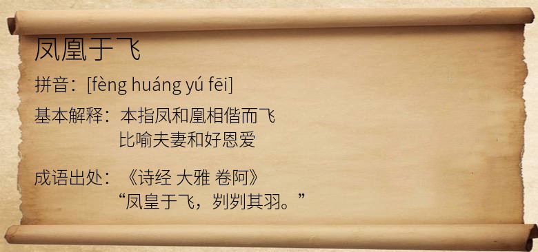 凤凰于飞