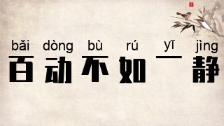百动不如一静