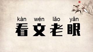 看文老眼
