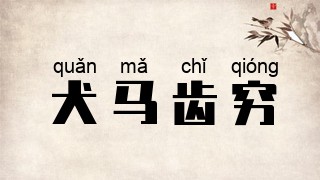 犬马齿穷