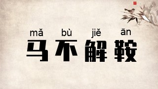 马不解鞍
