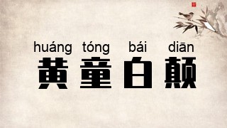 黄童白颠