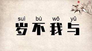 岁不我与