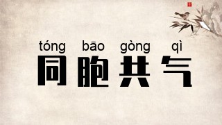 同胞共气