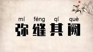 弥缝其阙