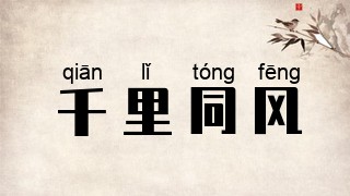 千里同风