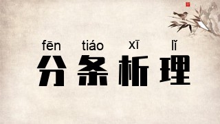 分条析理