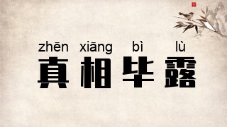 真相毕露