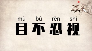 目不忍视