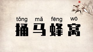 捅马蜂窝