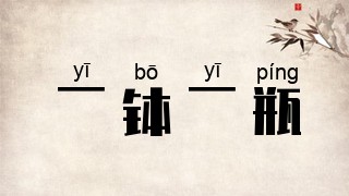 一钵一瓶