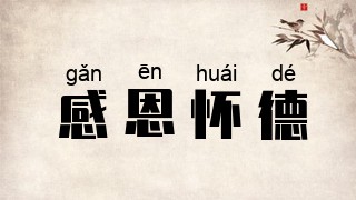 感恩怀德