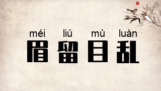 眉留目乱