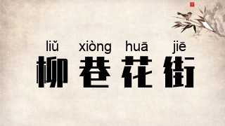 柳巷花街