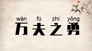 万夫之勇
