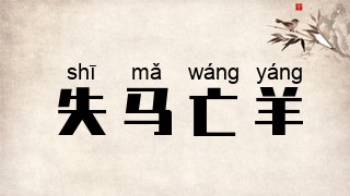 失马亡羊