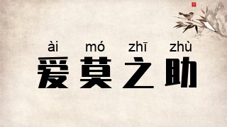 爱莫之助