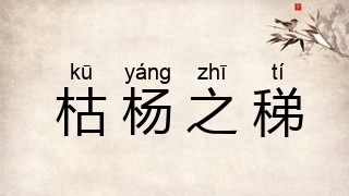 枯杨之稊