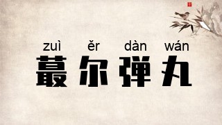 蕞尔弹丸