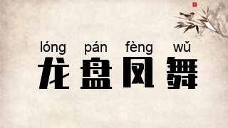 龙盘凤舞