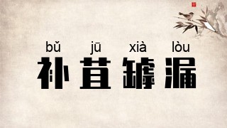 补苴罅漏