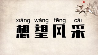 想望风采