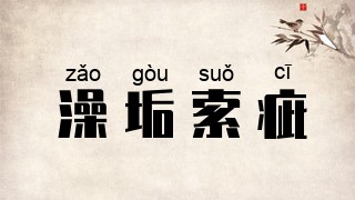 澡垢索疵