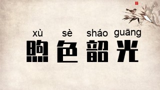煦色韶光
