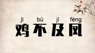 鸡不及凤