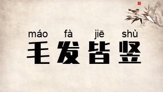 毛发皆竖