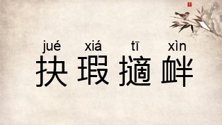 抉瑕擿衅