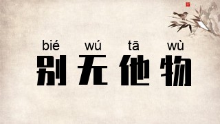 别无他物