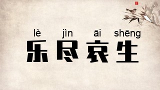 乐尽哀生