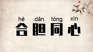 合胆同心