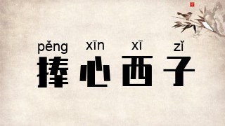 捧心西子