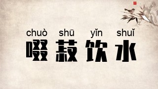 啜菽饮水