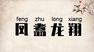 凤翥龙翔