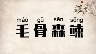 毛骨森竦