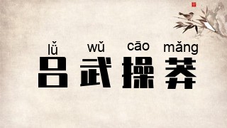 吕武操莽