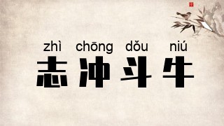 志冲斗牛