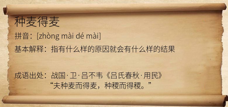 种麦得麦