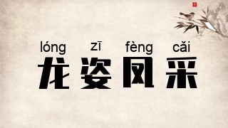 龙姿凤采