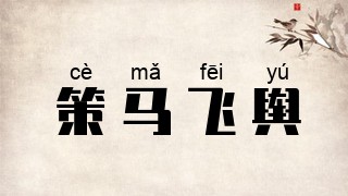 策马飞舆