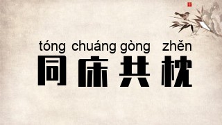 同床共枕