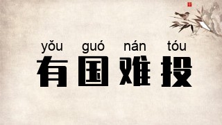 有国难投