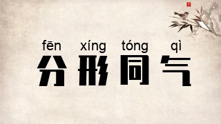 分形同气