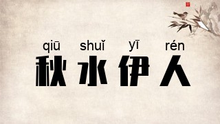 秋水伊人