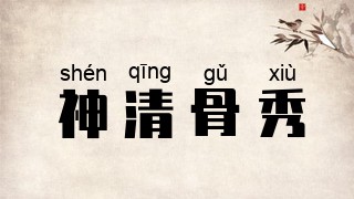神清骨秀