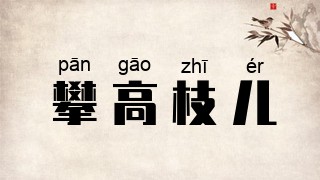 攀高枝儿